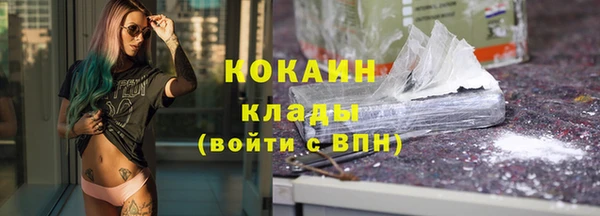 винт Каменка