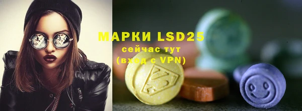 винт Каменка