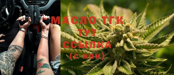 винт Каменка