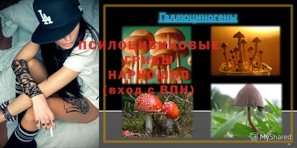 винт Каменка