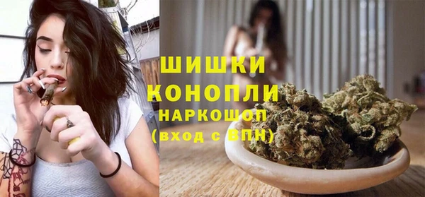 винт Каменка