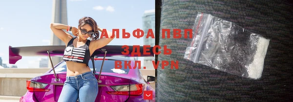 винт Каменка
