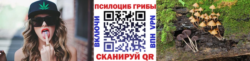 Галлюциногенные грибы мухоморы  купить наркотики цена  Якутск 