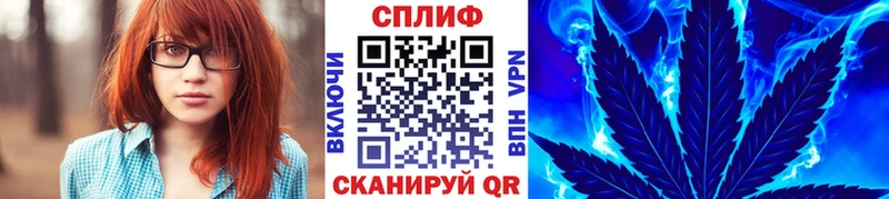 Бошки Шишки планчик  Якутск 